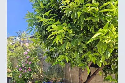 727 N Main Ave., Fallbrook, CA 92028 - Photo 10