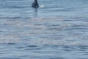 1730 Avenida Del Mundo, Coronado, CA 92118 - Photo 4