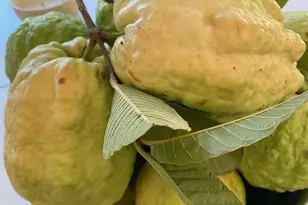 14302 Sandown, Poway, CA 92064 - Photo 64