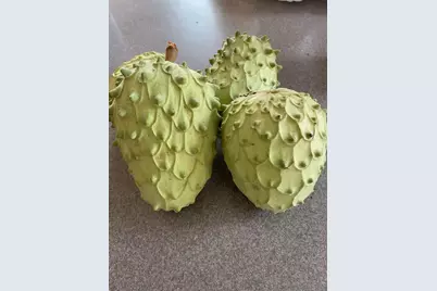  14302 Sandown, Poway, CA 92064 - Photo 62