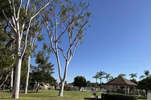 11124 Poblado, San Diego, CA 92127 - Photo 40