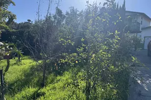 9317 Lamar St, Spring Valley, CA 91977 - Photo 4