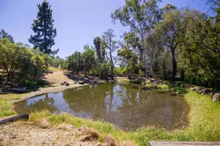 28640 Myers Country Ln, Valley Center, CA 92082 - Photo 8