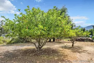 3453 Via Loma Vista, Escondido, CA 92029 - Photo 24