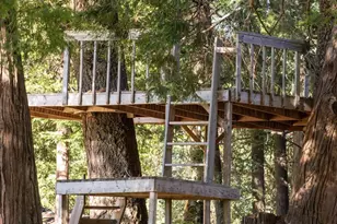 3413 Fern Meadow, Palomar Mountain, CA 92060 - Photo 40