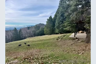  3413 Fern Meadow, Palomar Mountain, CA 92060 - Photo 28