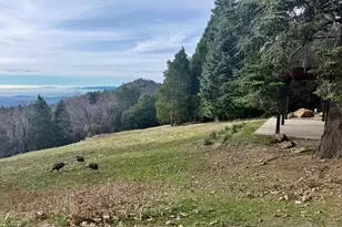 3413 Fern Meadow, Palomar Mountain, CA 92060 - Photo 28