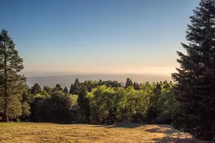 3413 Fern Meadow, Palomar Mountain, CA 92060 - Photo 34