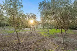 6870 La Valle Plateada, Rancho Santa Fe, CA 92067 - Photo 32