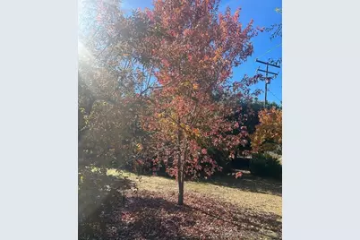  24312 Central Avenue, Descanso, CA 91916 - Photo 12