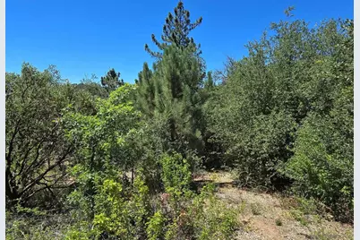  000 Smokey Lane #13, Julian, CA 92036 - Photo 2