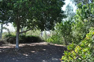 5009 Ducos Pl, San Diego, CA 92124 - Photo 28