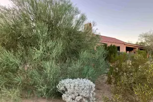 3277 Frying Pan Rd, Borrego Springs, CA 92004 - Photo 32