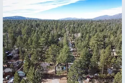  298 Maple, Sugarloaf, CA 92386 - Photo 30