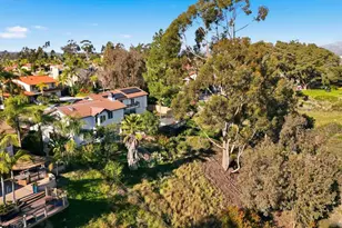 10747 Birch Bluff Ave, San Diego, CA 92131 - Photo 58