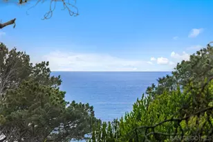 367 Pine Needles Dr, Del Mar, CA 92014 - Photo 20