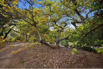  1010 Quail Creek, Fallbrook, CA 92028 - Photo 36