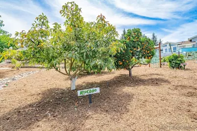  460 Rancho Camino, Fallbrook, CA 92028 - Photo 66