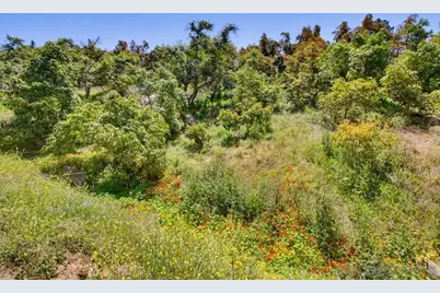  31675 Rancho Amigos Rd #1, Bonsall, CA 92003 - Photo 14