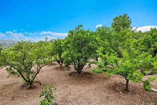 4360 Helix Canyon Dr, La Mesa, CA 91941 - Photo 18