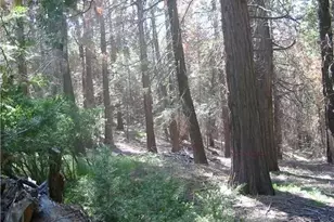 0 Crestline Rd, Palomar Mountain, CA 92060 - Photo 1