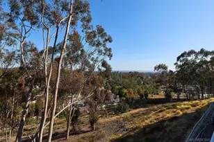 11037 Caminito Vista Pacifica, San Diego, CA 92131 - Photo 46