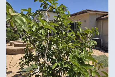  4820 51st, San Diego, CA 92115 - Photo 18