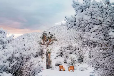  48311 Burns Canyon Rd, Pioneertown, CA 92268 - Photo 50
