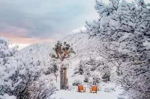 48311 Burns Canyon Rd, Pioneertown, CA 92268 - Photo 50