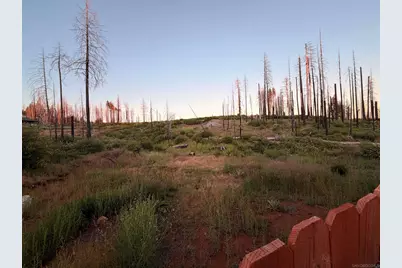  7131 Winding Way, Grizzly Flats, CA 95636 - Photo 20