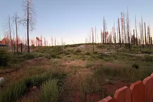 7131 Winding Way, Grizzly Flats, CA 95636 - Photo 20