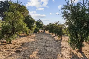 30562 Rolling Hills Dr, Valley Center, CA 92082 - Photo 24