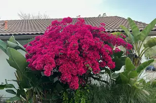 16490 Bridlewood, Poway, CA 92064 - Photo 36