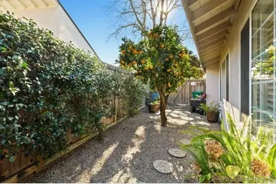  3868 Avenida Feliz, Rancho Santa Fe, CA 92091 - Photo 24