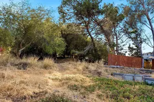 161 Parnassus Cir, Oceanside, CA 92054 - Photo 46