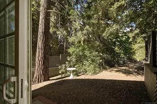 33125 Canfield Rd, Palomar Mountain, CA 92060 - Photo 22