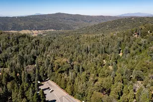 33125 Canfield Rd, Palomar Mountain, CA 92060 - Photo 48