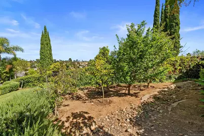  11375 Paymogo, San Diego, CA 92129 - Photo 38