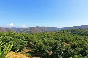 1629 Wild Acres, Vista, CA 92084 - Photo 28