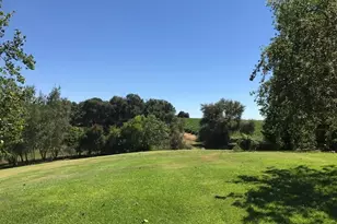 24943 N McIntire, Clements, CA 95227 - Photo 6