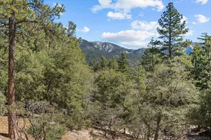 52910 Cedar Dr, Idyllwild, CA 92549 - Photo 32