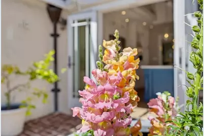  4319 Del Mar Avenue, San Diego, CA 92107 - Photo 32