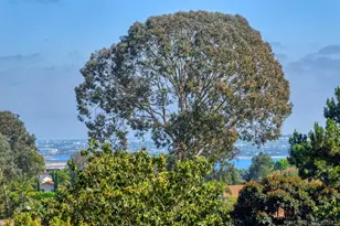 2207 Caminito Cabala, La Jolla, CA 92037 - Photo 6