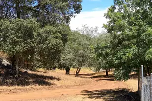 25218 Black Canyon Rd, Santa Ysabel, CA 92070 - Photo 44