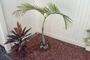 2845 W Canyon Ave., San Diego, CA 92123 - Photo 54