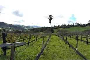 2635 Vista De Palomar, Fallbrook, CA 92028 - Photo 42