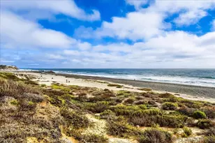 118 Windvane Ln, Carlsbad, CA 92011 - Photo 38