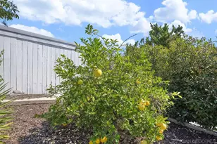 16958 Hierba, San Diego, CA 92128 - Photo 30