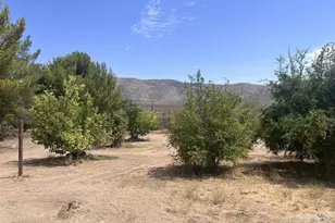 7479 Kickin Horse Trail, Julian, CA 92036 - Photo 14