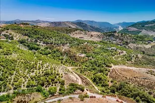 31675 Rancho Amigos Rd, Bonsall, CA 92003 - Photo 1
